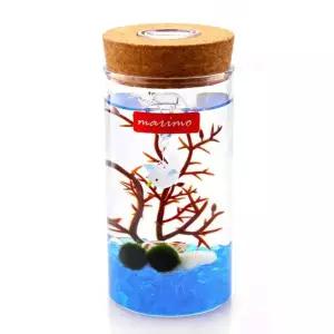 마리모 키우기 LED 유리병 수경식물키우기 테라리움