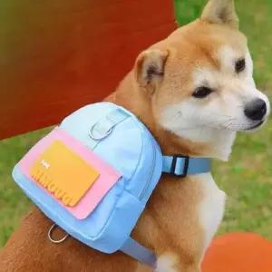 [반려] 애견가방 백팩 강아지 가방 하네스 산책 유치원 리드줄