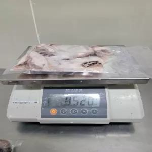 국산 급냉 손질 꼬마갑오징어 500g 10미내외