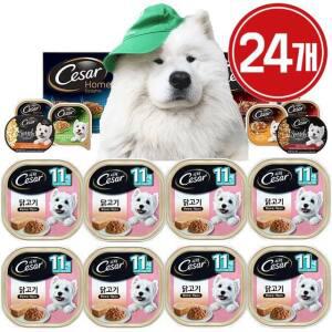 강아지 시저 캔 11세이상 닭고기 1박스(24개)