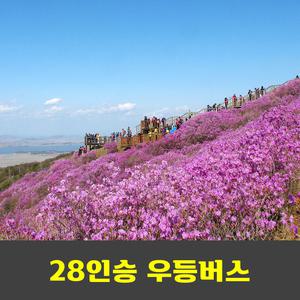 고려산 진달래축제 안내산악회