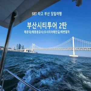 [SRT]부산시티투어 2탄(해동용궁사/오시리아/해운대 해변열차)-당일(연합)