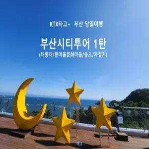 [KTX]부산시티투어 1탄(태종대/흰여울문화마을/송도/자갈치)_당일연합