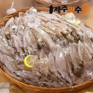 [제주맛수다] 총알 한치 80-100마리 5팩 2kg내외