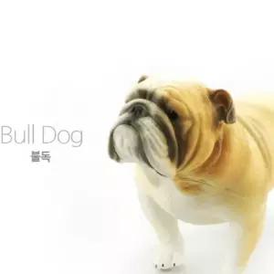 리얼 실감 불독 유아 동물 모형 완구 강아지 미니어처 장난감 역할 놀이 앤완견 소프트 피규어 어린이집 교