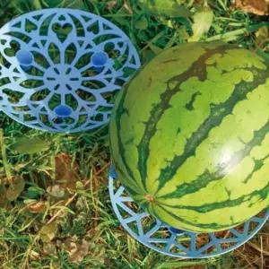 WL 과일 수박 호박 과일 부패 오염 방지 받침대 보호대