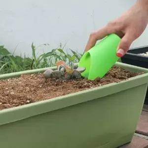 [콩심팥심]컷팅 텃밭 화분 분갈이 플라스틱 컵삽