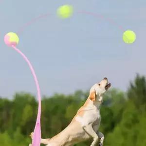 [골드스마일]강아지 장난감 공 던지기 애견 트레이닝 훈련 반려견교육 개훈련