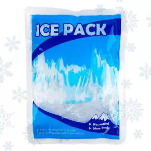 디디샵 냉온 아이스팩 - 중 아이스 얼음 팩 백 냉매 보냉 휴대 가벼움
