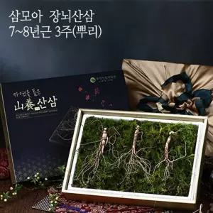 삼 산양산삼 7-8년근 3뿌리(건강사랑세트)