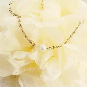 래피 진주 초커 목걸이