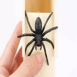 ( )거미 모형 상자 거미인형 미니거미모형 할로윈데코장식거미줄 왕거미장난감