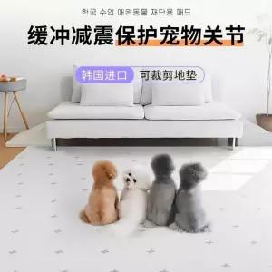 애견거실매트 미끄럼 잘라쓰는 인테리어