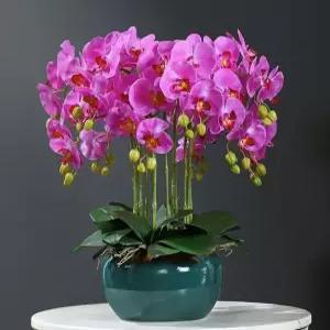 호접란 조화화분 서양란 가짜꽃 난초 개업 부모님 축하 행운 꽃화분 키우기 가드닝 인조