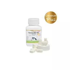 [하프클럽/기타]하이웰 초유 츄어블 미니 어린이   30정