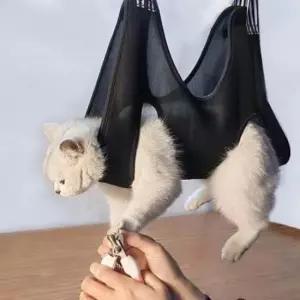 [반려] 강아지 미용 발톱 거치대 해먹 셀프 고양이거치대