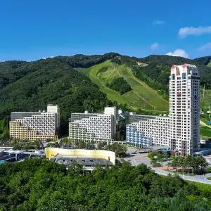 [휘닉스파크] 스프링 라이트&테이스티 3/4인 PKG + 특전 (2/24~5/31투숙까지)