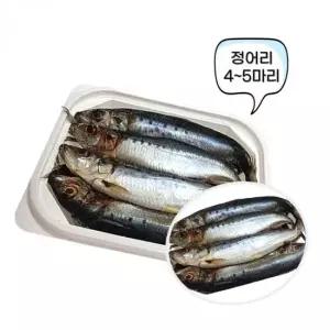 정어리 텐빈 갈치 낚시 미끼 싱싱 풀치 꽁치 갈치 선상낚시 바다미끼 학꽁치포