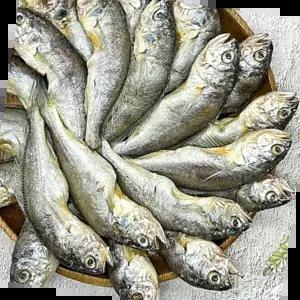 식당용조기 국내산 반건조 냉동 참조기 40미 굴비 생선 구이 조림