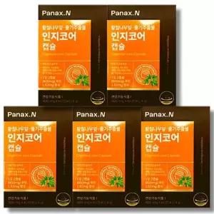 휴온스N 파낙스엔 인지코어 400mg x 60캡슐 5박스