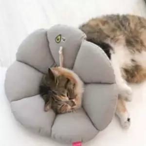 강아지 고양이 목보호대 쿠션 애견 넥카라 베이지 XL