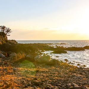 제주허브닷컴 - 노팁 노옵션) 힐링투어 제주도관광  패키지 2일 (매일출발, 선착순 예약마감)