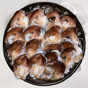 [여수발송] 최고급 손질 새조개 자연산 / 200g