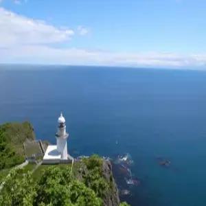 부산출발 삿포로 4일 #도야호 불꽃놀이 #지큐미사키 #후라노 #비에이 #노보리베츠 #도야