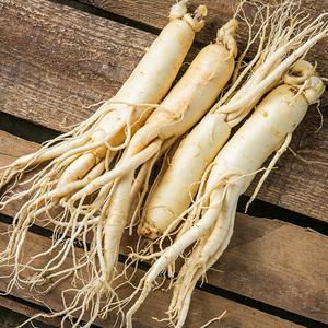 금산 인삼 세척 원수삼(대) 375g 곧은삼 수삼 진공포장 씻은 삼 세트 선물 국산 국내산