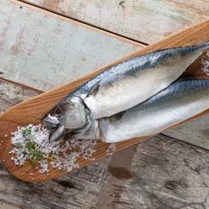 자반 고등어 1손