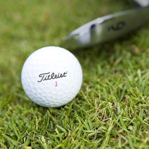 유명볼 55개 실속형 60개 타이틀리스트 로스트골프공