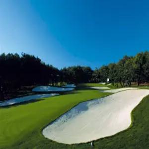 [골프텔/피닉스 시가이아 오션타워(구.쉐라톤)/45홀] 미야자키 골프 3일 특급리조트/피닉스GC/톰왓슨CC/최상급코스/전객실SEAVIEW