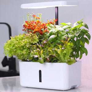 실내 LED 수경재배기 식물키우기 스마트팜 채소 과일 상추 바질 허브 화이트 H227