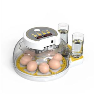 명품 부화기 콜 8란 병아리 완전 자동 가정용 최신형