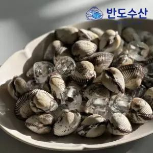 벌교 새꼬막 특대, 10kg, 1개