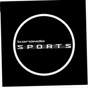 D21 코란도스포츠호환 로고 매립형 LED 도어라이트