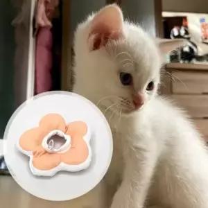 [반려] 꽃피는 강아지 고양이 쿠션 넥카라 핑크 S