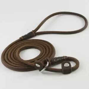 강아지산책 산책줄 소가죽 자동 훈련 강아지 리드 줄 중형견 산책용 하네스 목줄 용품 외출