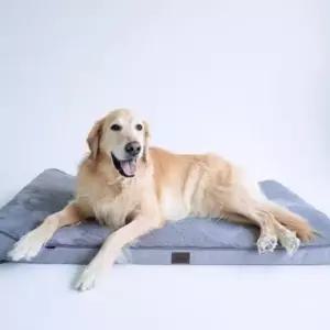 대형견 꿀잠 휴식용 방석겸 침대 XL Y242819 대형견용