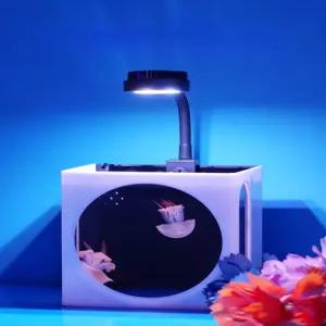 미니 열대어 수조 해파리 키우기 가정용 무드등 관상어