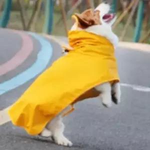 [반려] 반려동물 소형견 올인원 산책 강아지 우비 중형견