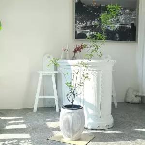 베하몰 마블 화분 소피아 세로줄단지 26x34cm홈가드닝 식물키우기 꽃키우기 원예용 집들이선물 꾸미기 인테