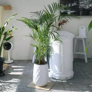 베하몰 마블 화분 메이브 다이아패턴단지 24x41cm홈가드닝 식물키우기 꽃키우기 원예용 집들이선물 꾸미기