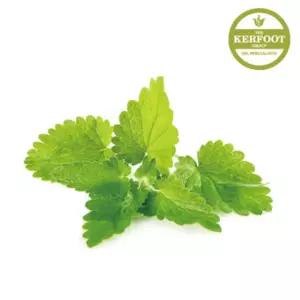 멜리사 에센셜 오일 Melissa Blend Oil아로마 천연 캔들 향수 디퓨저 발향