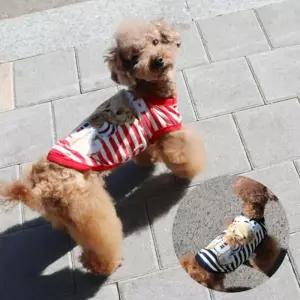 코코아허니 허그베어티줄무늬곰 강아지 셔츠 애완견옷 의류 애견 패션 반려견