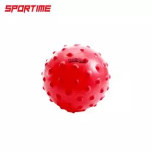 스포타임 고슴도치공 대 색상 랜덤 발송촉감자극 자극볼 고슴도치볼 고슴도치 스츠볼 스츠 게임볼