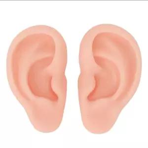 키밍 실리콘 귀모형 양쪽 세트 교육용 걸이전시피어싱연습용 마네킹 침뜸 도구 인조 왼쪽 오른쪽 가짜 다피