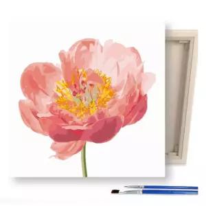 DIY 페인팅 캔버스 물감 붓 세트 핑크 모란컬러링 워터 수채링 페인팅북 색칠 단체선물 판촉물 컬러링 그림
