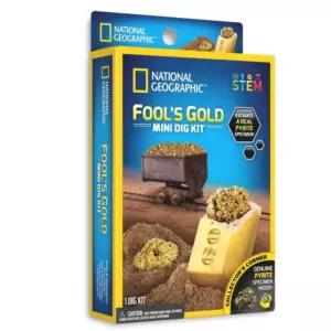화석 발굴 키트 금 캐기 놀이 장난감 어린이 소학습 과학체험 날선물 채집 교구 지구