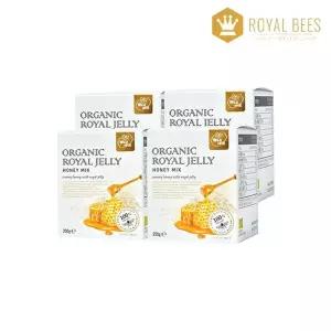 [NS홈쇼핑]로얄비 오가닉 로얄젤리 허니믹스 250gX4병[35733950]